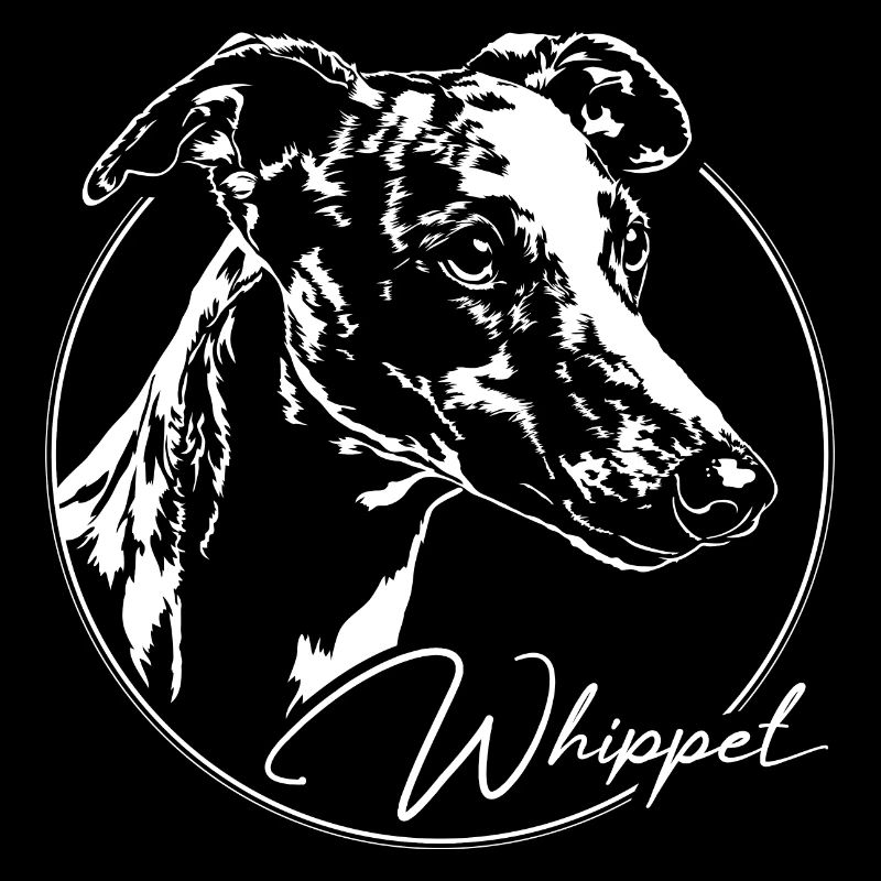 WHIPPET Greyhound Greyhounds Chien Wilsigns