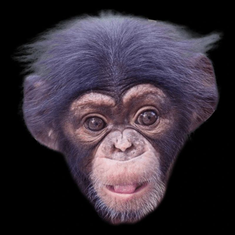 Mode de visage de singe mignon