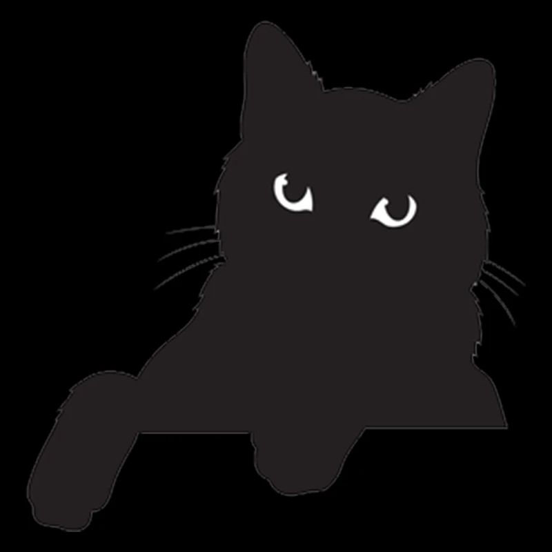 Drôle de chat noir