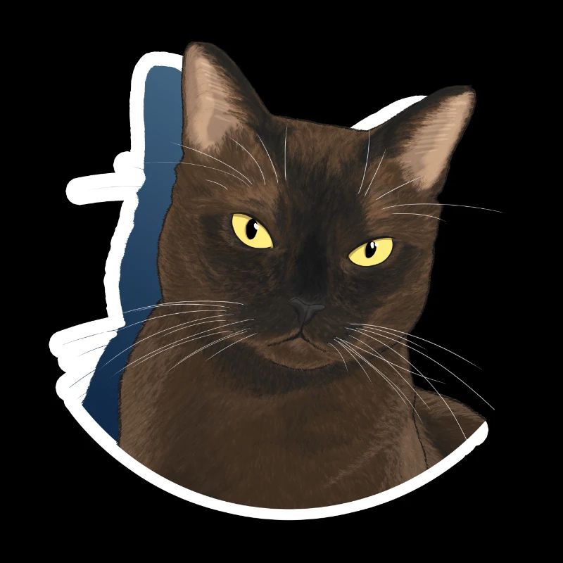 Chat burmese