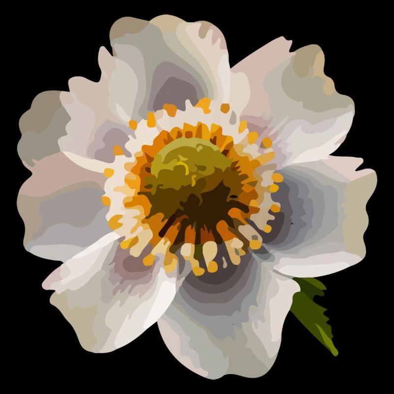 The flower