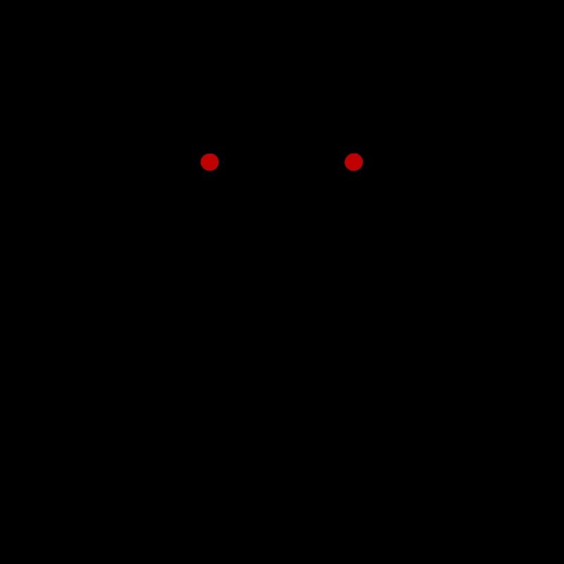 Bear Head