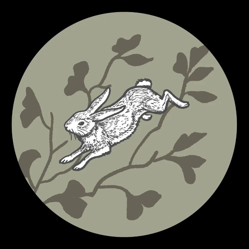 Lapin sur la lune
