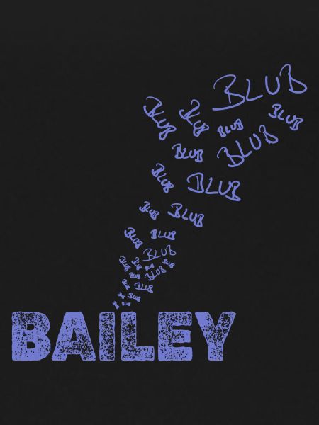 Sailing Bailey