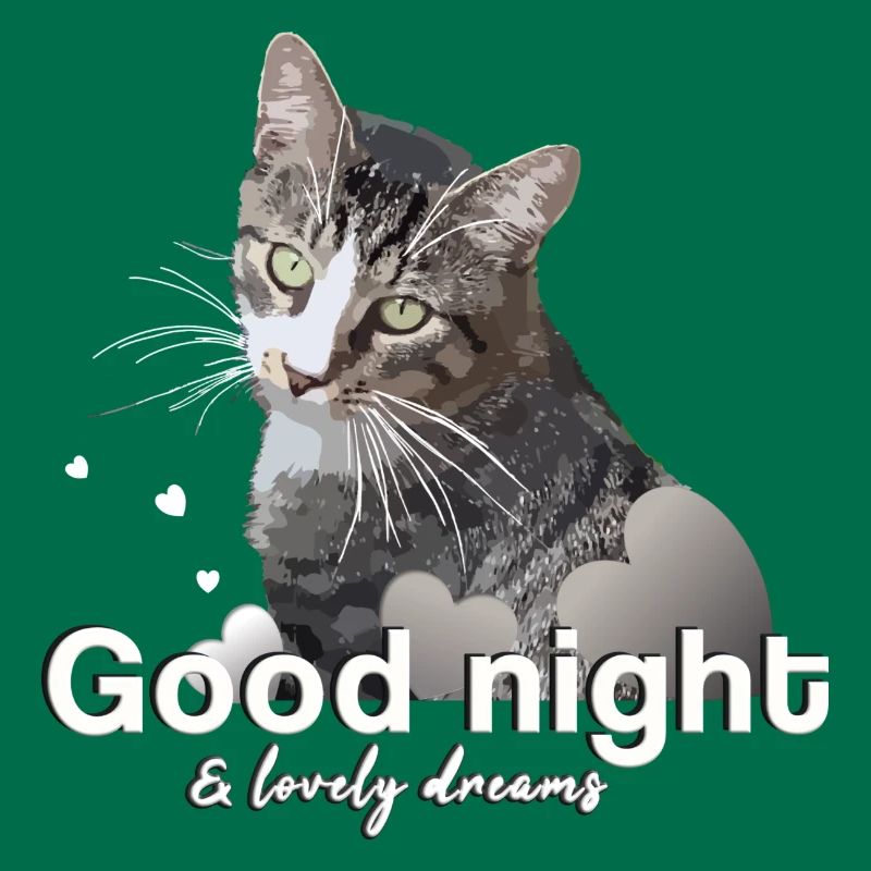 Sleep shirt good night good night