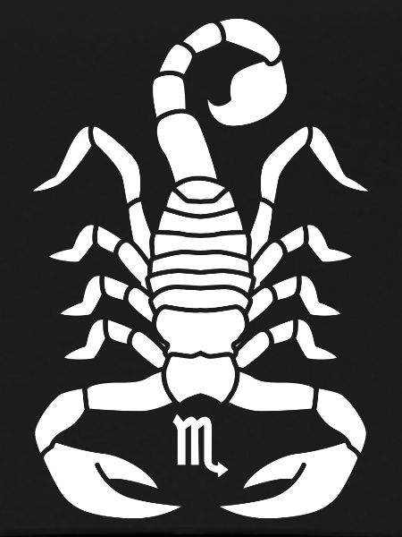 Skorpion Sternzeichen