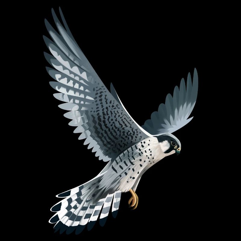 Wanderfalke im Flug