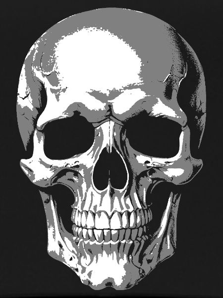 Monochrome Skull Graphic