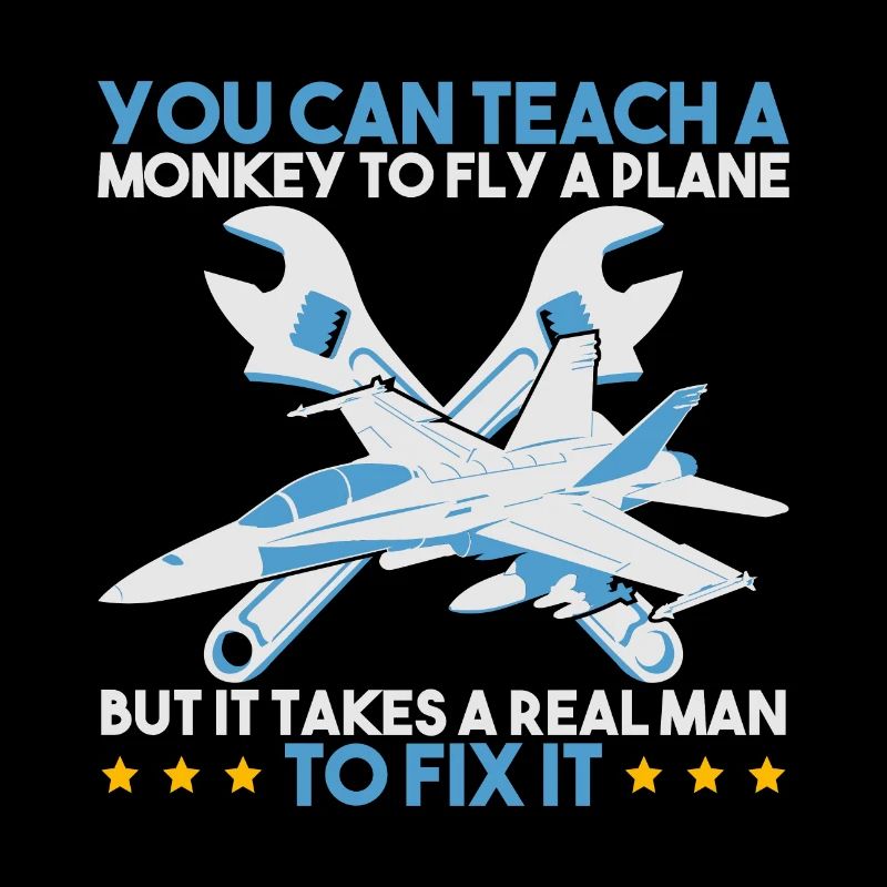 You Can Teach A Monkey To Fly A Plane But It Takes