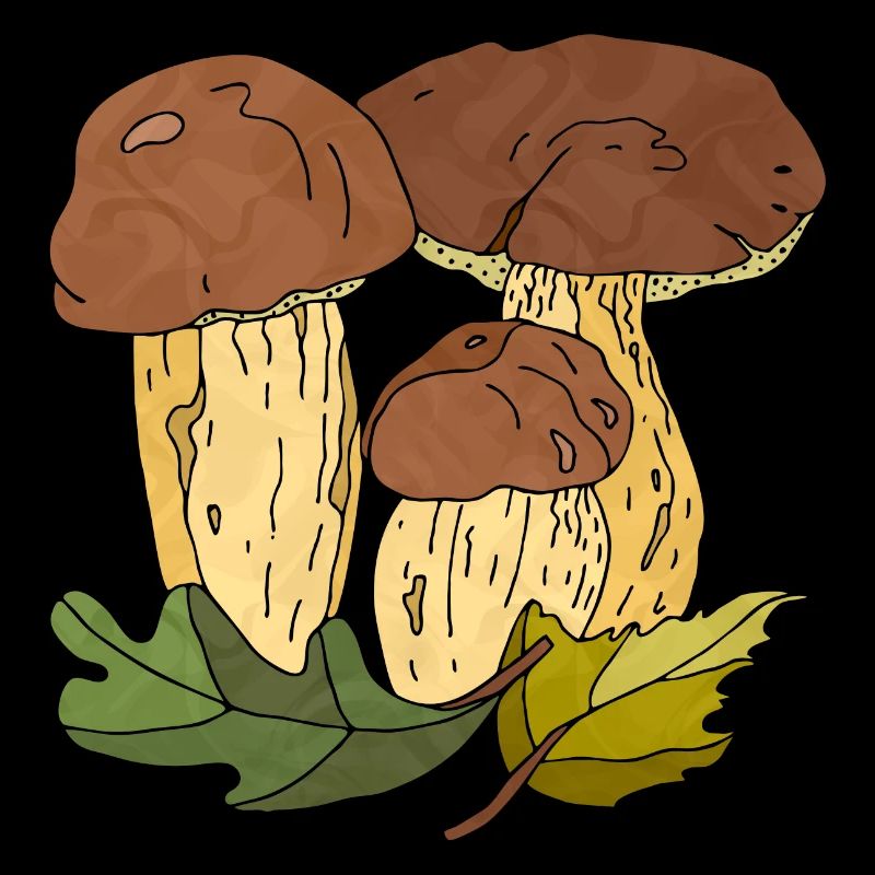 Fungi