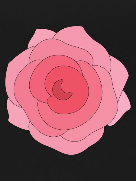 Beautiful Rose