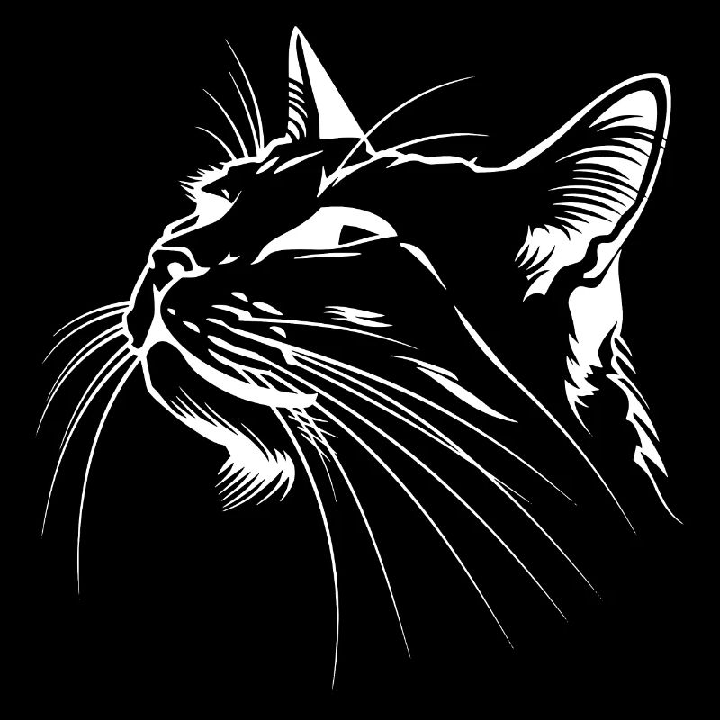 Chat, Motif De Chat, Visage De Chat