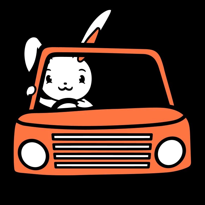 Rabbit Driving Car Driver Driving License Passed