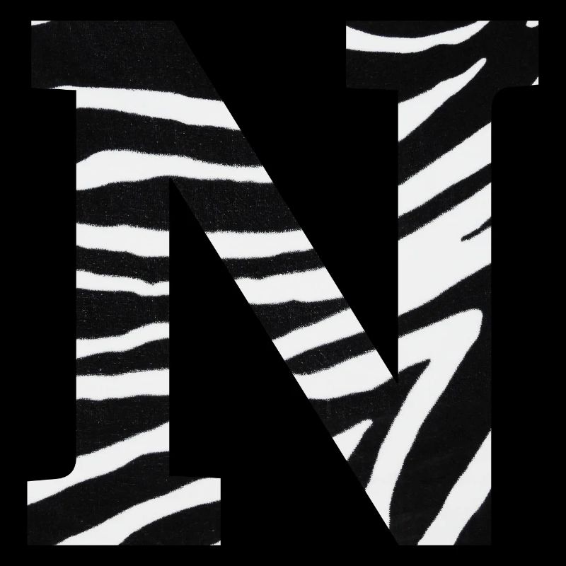 Letter n zebra