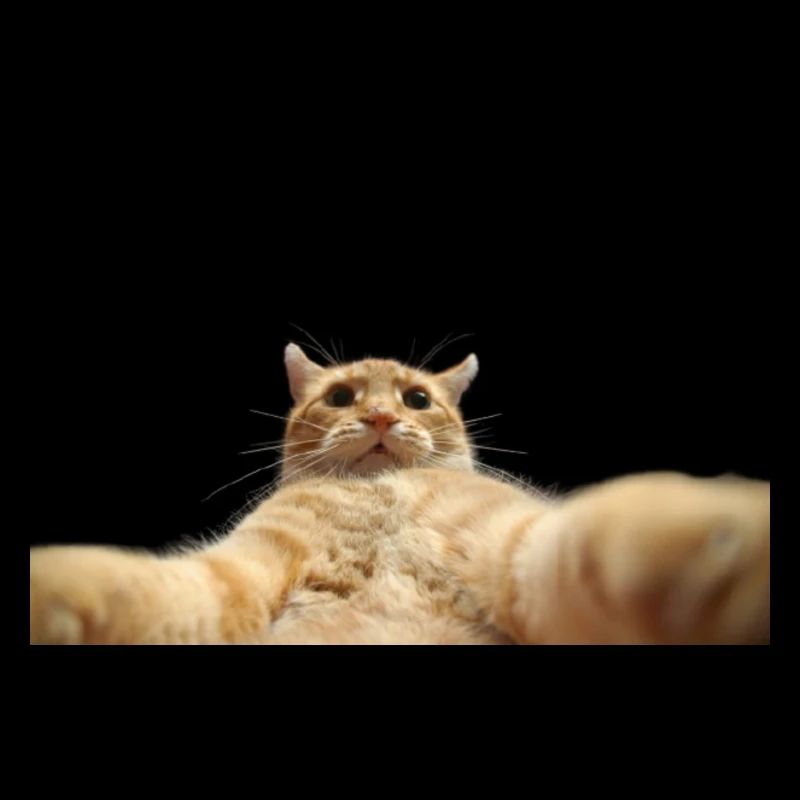 Chat selfie