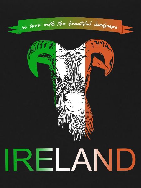 Ireland Ireland sheep