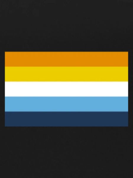 aro ace pride flag