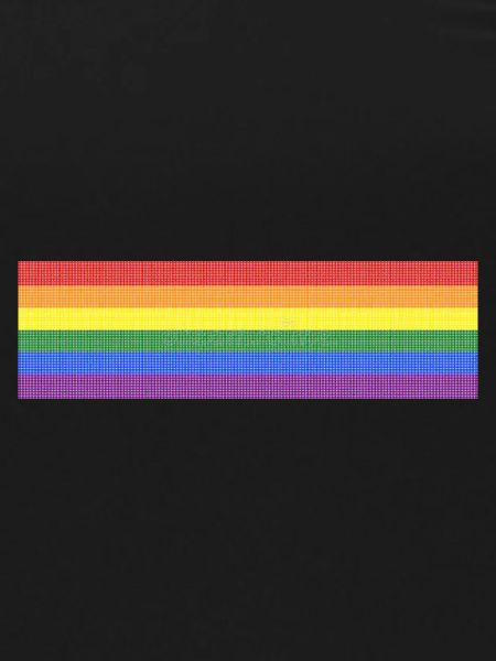 LGBT flag