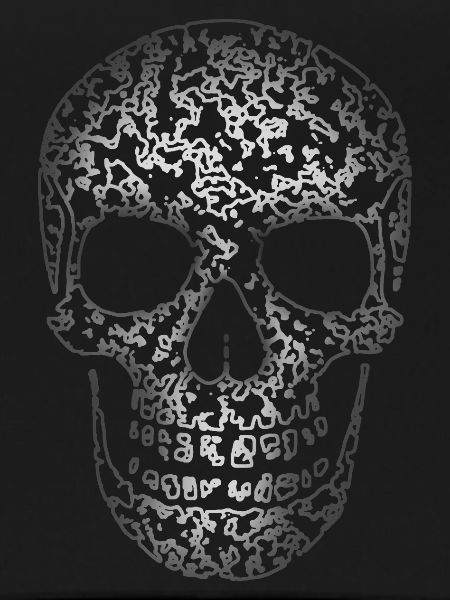 Skull Structure R6Z