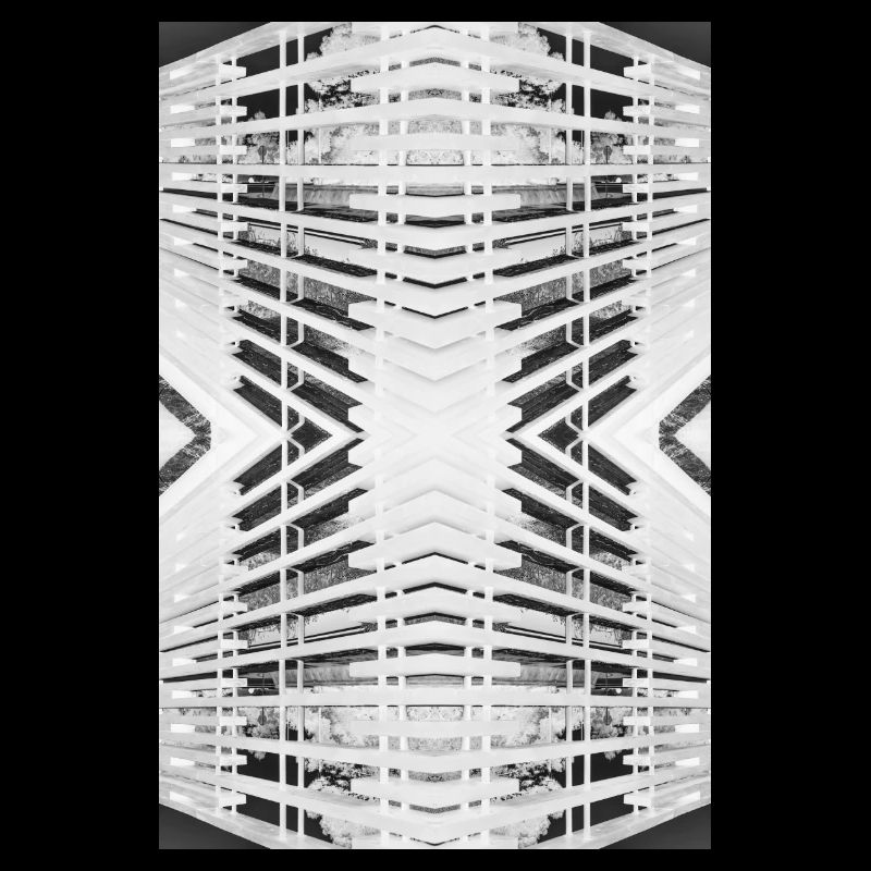 Bois abstrait V.2