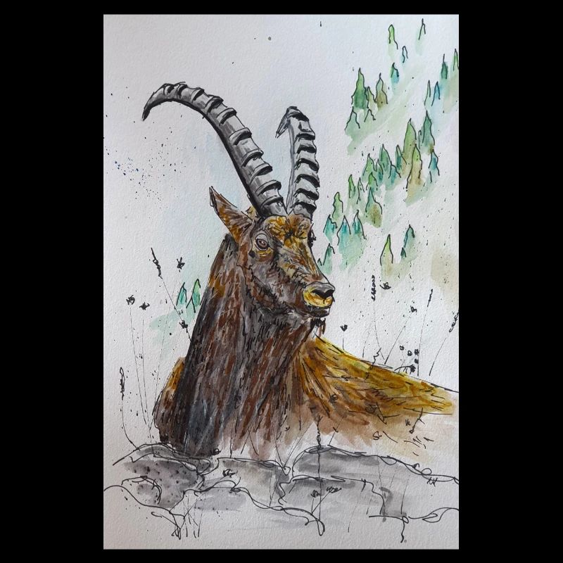 Steinbock Capricorn