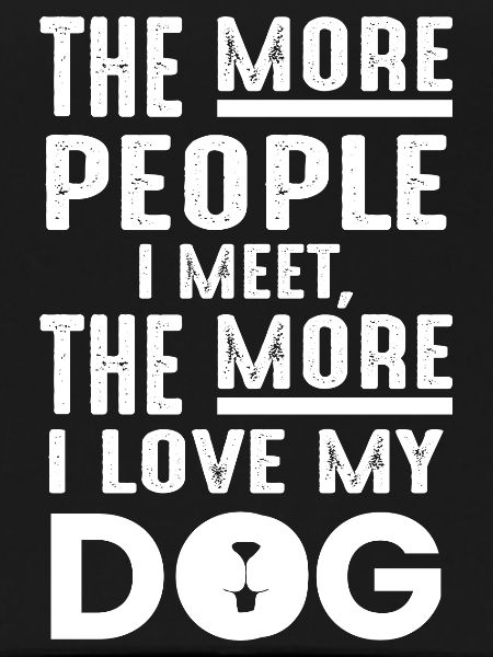 Dog Hund