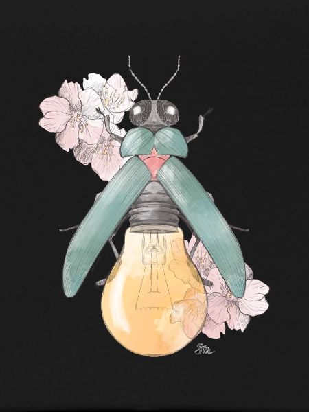 Pear | Flowering | Beetles