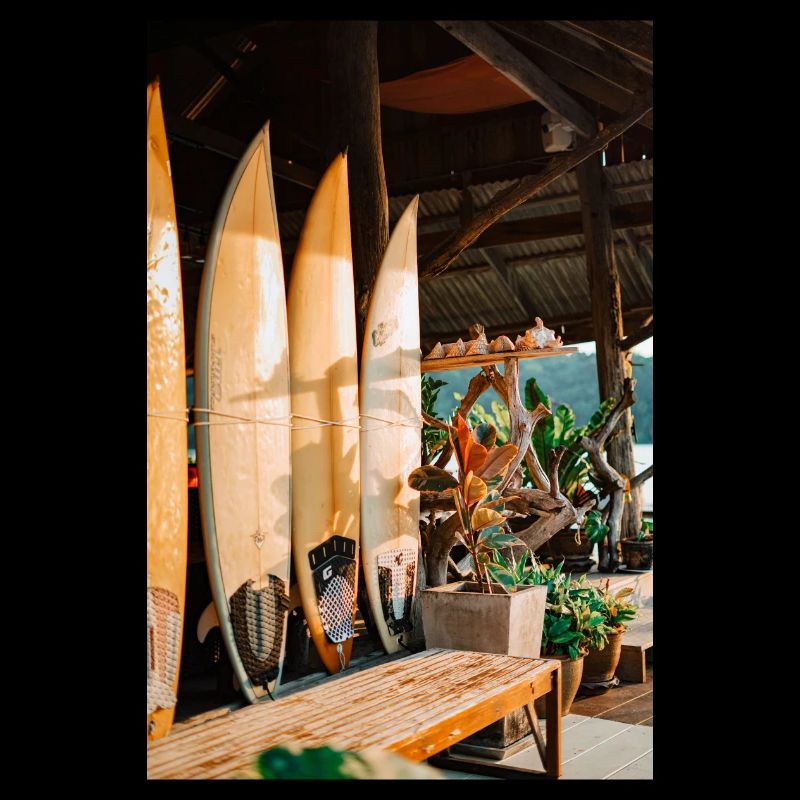 Surfer