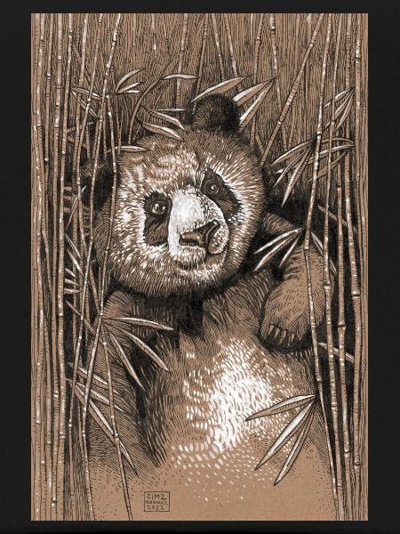 PANDA 02