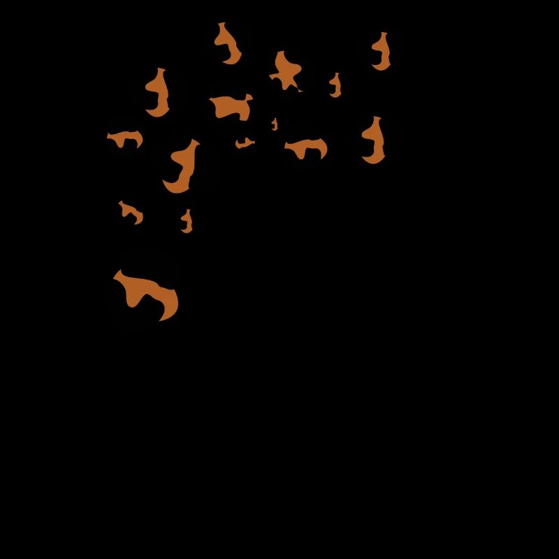 Letter h leopard print