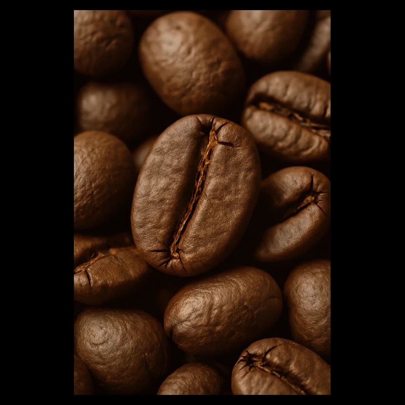 Grains de café - La base d’un bon café