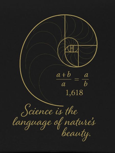 Golden Ratio