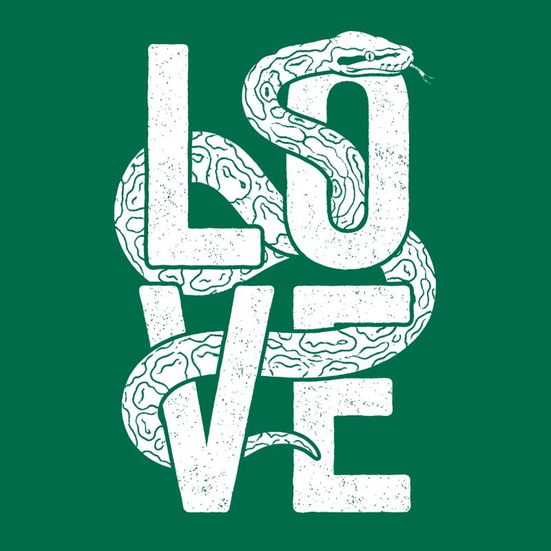 Les serpents rois Python ADORENT les pythons de terrarium