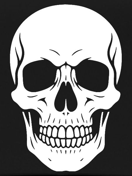 Skull Silhouette Graphic