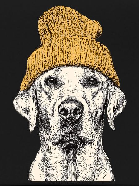 Beanie Retriever