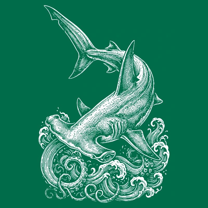 Conception du requin-marteau