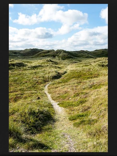 Dune Trail in Søndervig, Denmark