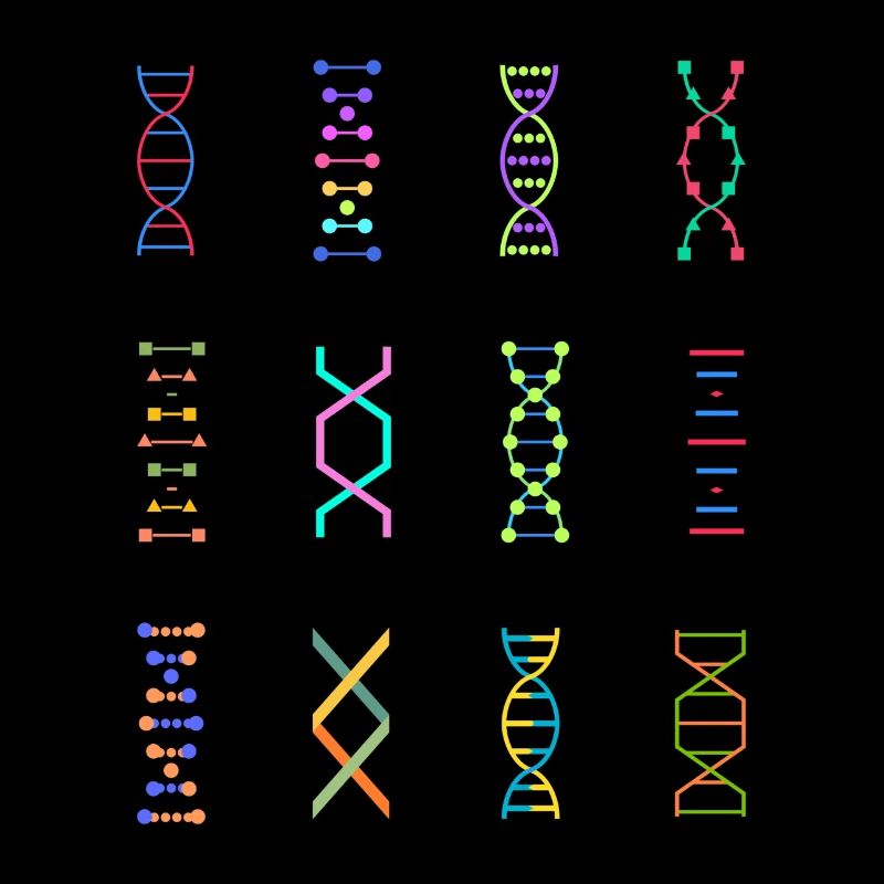 DNA genetics stem biology