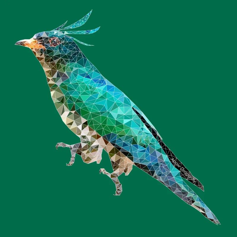 Vogel ~ der Smaragdkuckuck