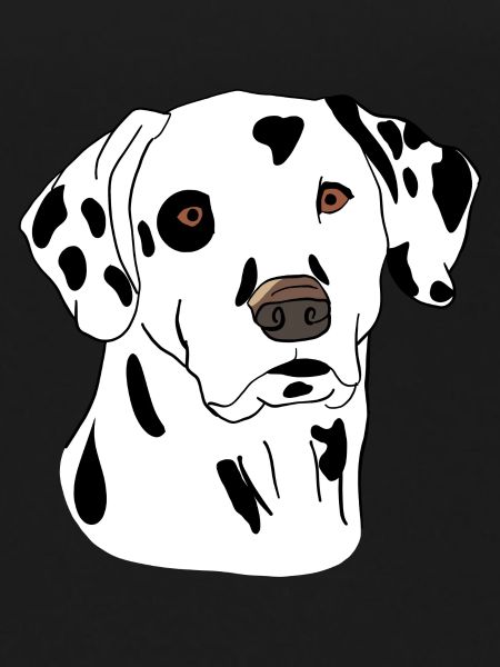 Dalmatian