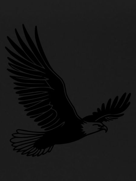 Aigle
