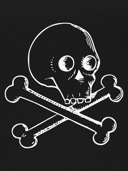 Skull and bones