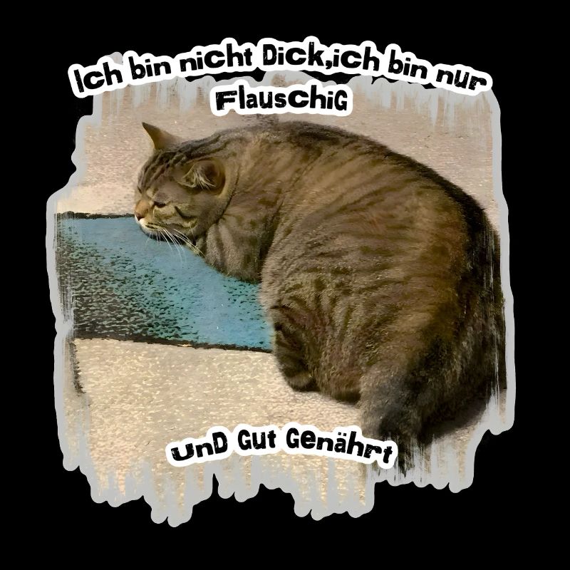 Dicke Katze