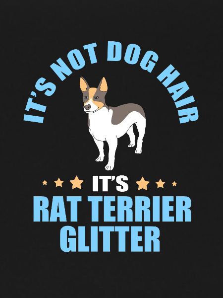 Rat Terrier