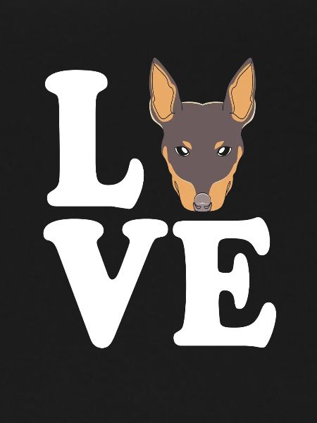 Miniature Pinscher