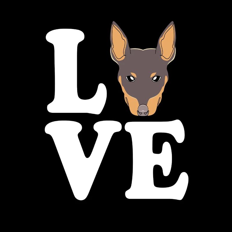 Pinscher nain