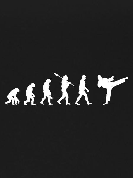 Taekwondo Evolution