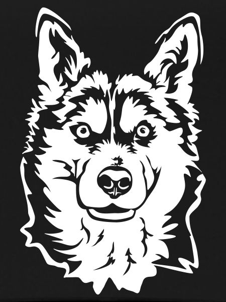Husky Head "Black Edition"