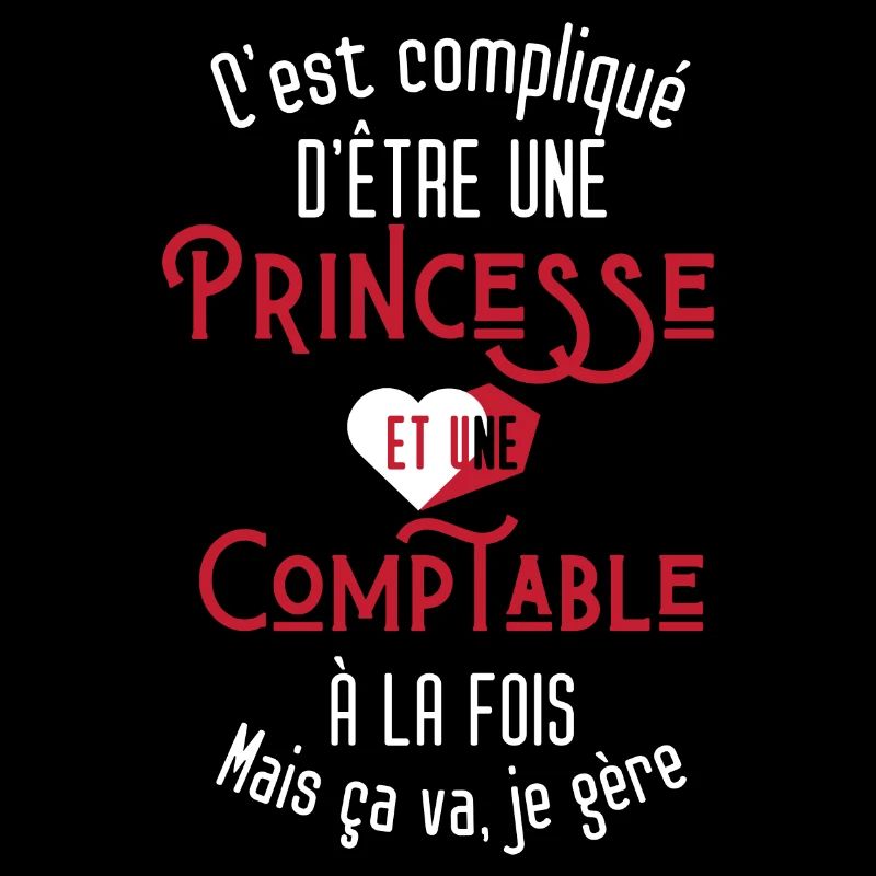 C'est compliqué d'être Une Princesse et Comptable