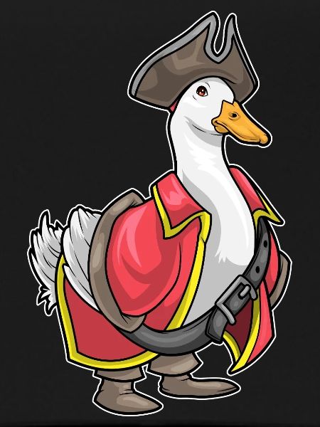 Duck Pirate Pirate Hat